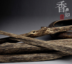 越南惠安沉香原材料 天然虫漏/g